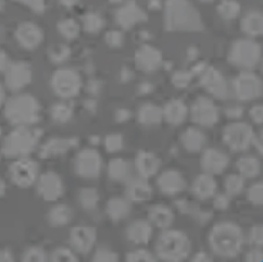 四川坤威朗盛挤出智能装备有限公司